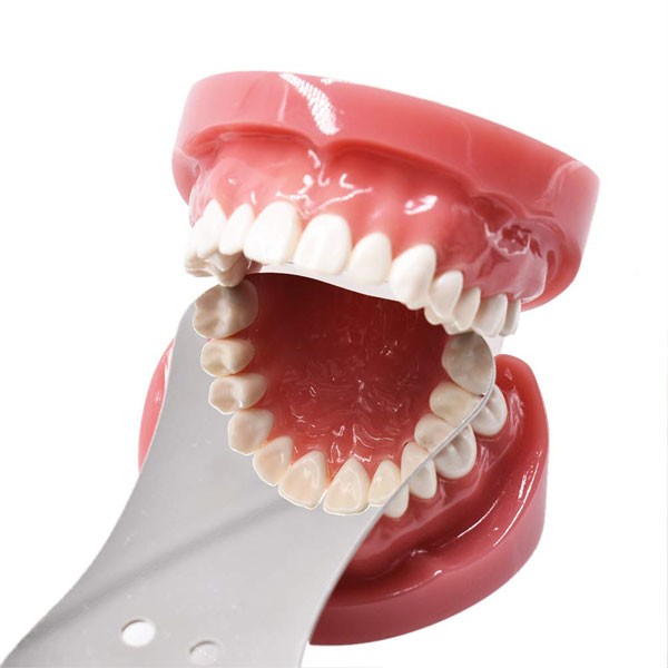 Photography Products